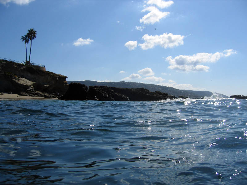 2009-03-07HeislerPark_0151e