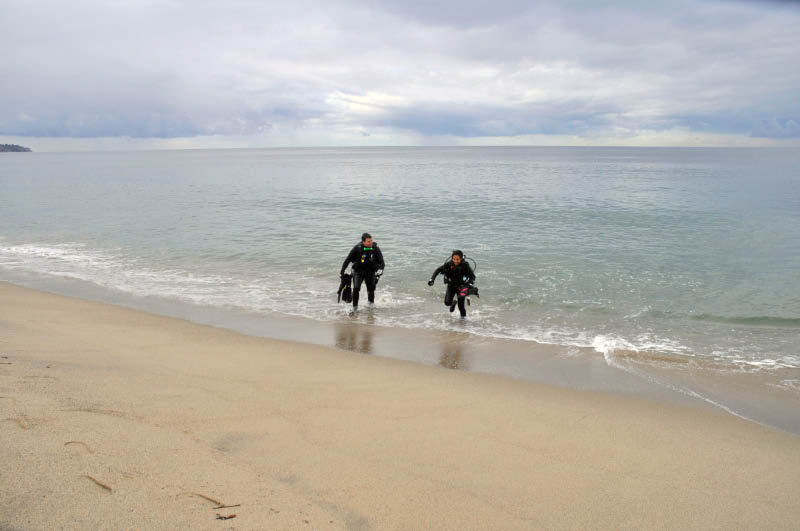 Thanksgiving SCUBA Dive 277