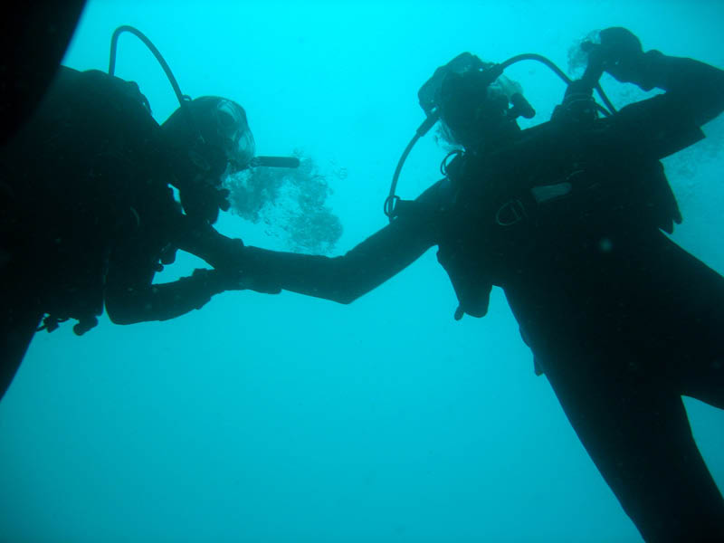 2009-11-26 Redondo Beach-Thanksgiving Dive 001 800x600