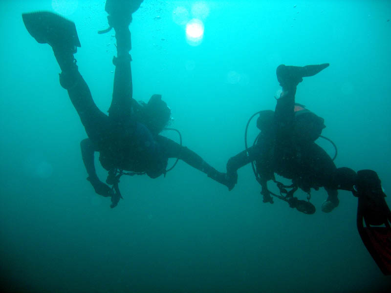 2009-11-26 Redondo Beach-Thanksgiving Dive 007 800x600