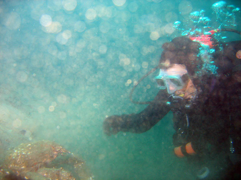 2009-11-26 Redondo Beach-Thanksgiving Dive 023 800x600