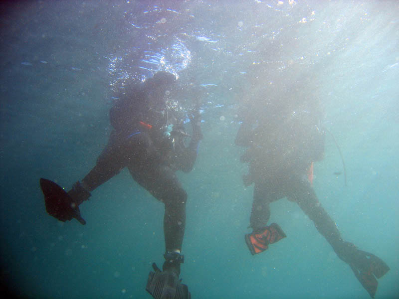 2009-11-26 Redondo Beach-Thanksgiving Dive 034 800x600