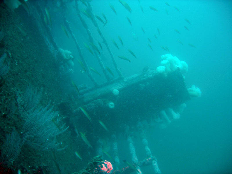 2009-10-17 HMCS Yukon  019e