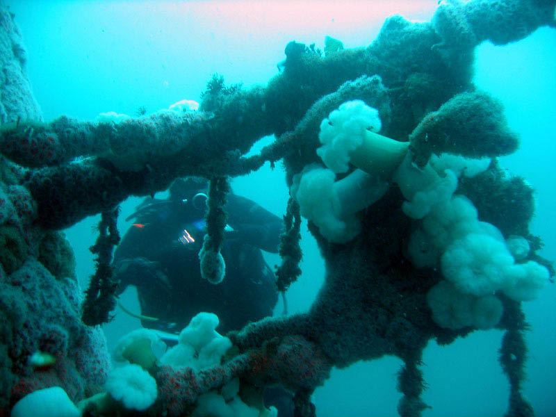 2009-10-17 HMCS Yukon  040e