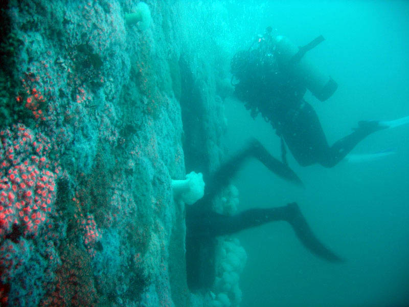 2009-10-17 HMCS Yukon  042e