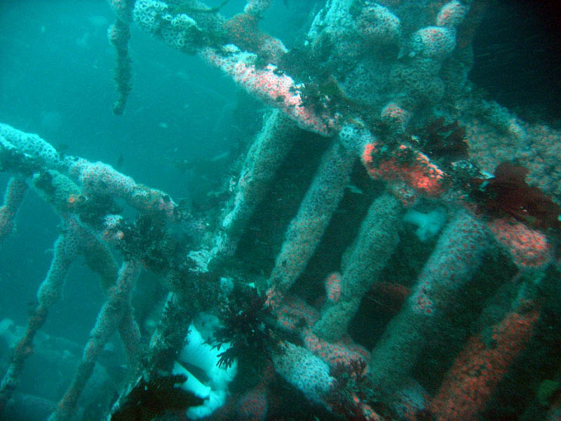 2009-10-17 HMCS Yukon  165e