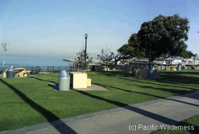 Picnic-Area.gif (52762 bytes)