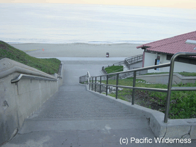 Redondo-Stairs-2.gif (67531 bytes)
