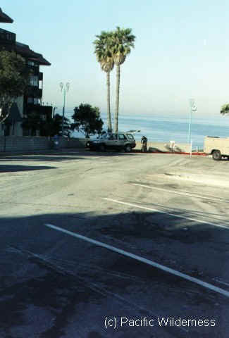 parking.jpg (38616 bytes)