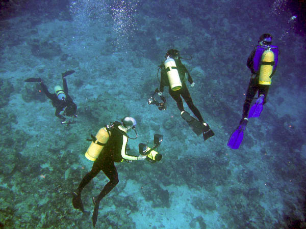 Divers_edited