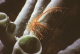brittlestar 3_edited