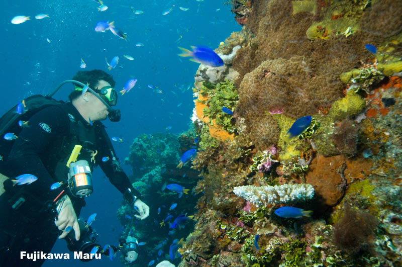 trukpohnpei-34 copy